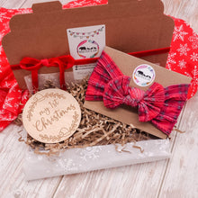 Load image into Gallery viewer, Bow &amp; Disc Bundle Gift - Mama Bear and Cubs ltd
