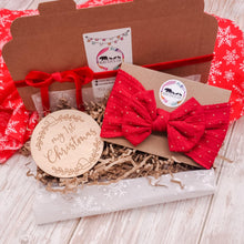 Load image into Gallery viewer, Bow &amp; Disc Bundle Gift - Mama Bear and Cubs ltd
